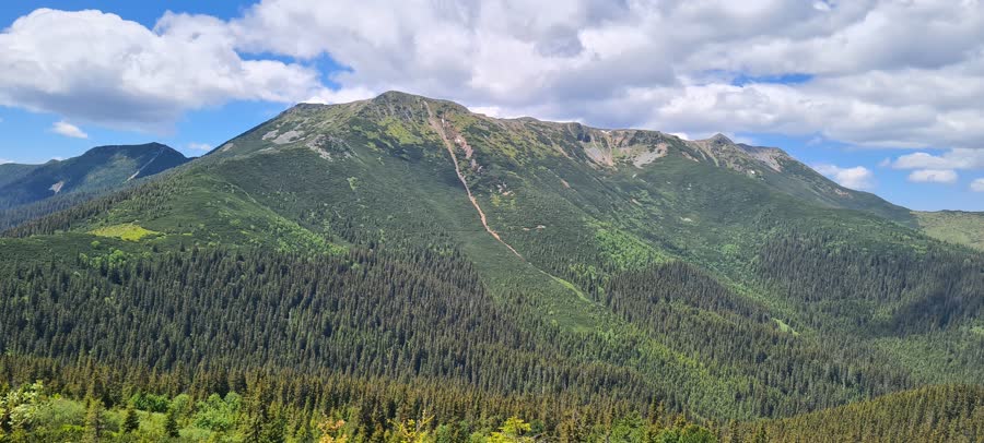 Creasta Călimanilor acoperită de pădure, vara