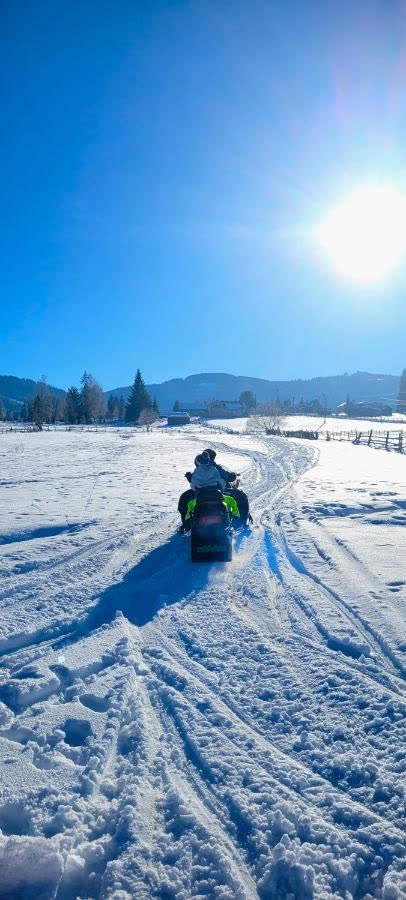 Snowmobil pe zăpadă proaspătă, cu munții în fundal