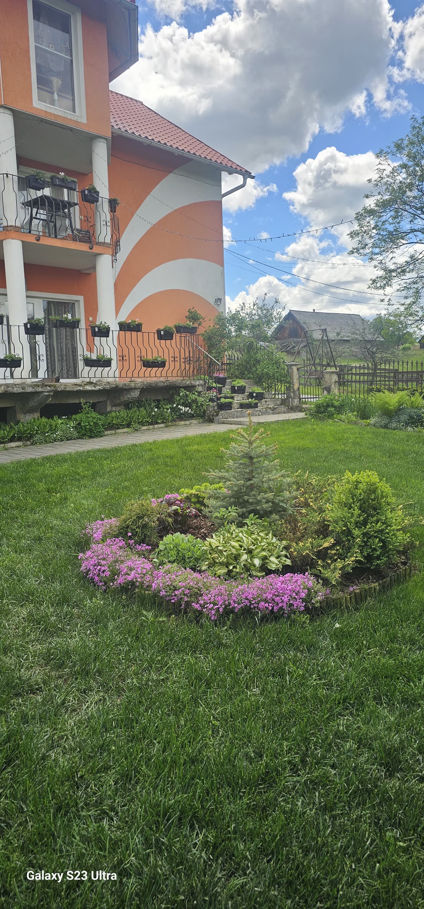 Grădina cu flori și brazi