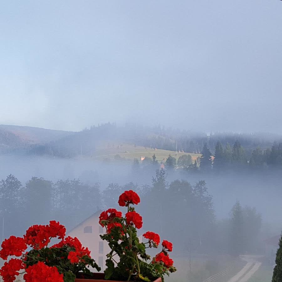 Ceață peste brazi, văzută de pe balcon