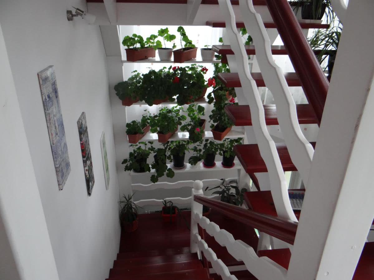 Casa scării, cu trepte albe și plante: duce la apartamentul de la etajul 1