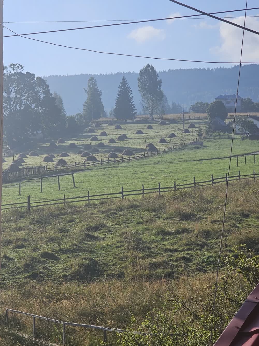 Ceață peste fânețe, dimineața